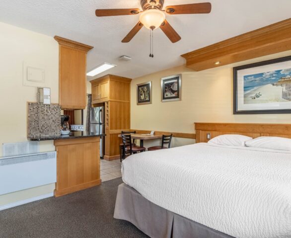 Osoyoos Accommodations - Unit 106